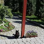 Pokój Kameralny Z Oddzielnym Wejsciem- Blisko Pkp * Karpacz