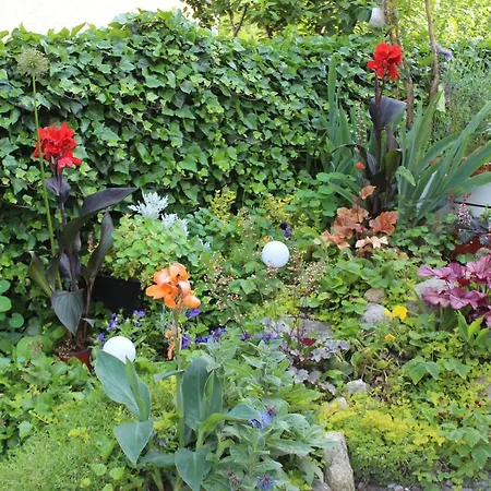 Kameralny Z Oddzielnym Wejsciem- Blisko Pkp Appartement