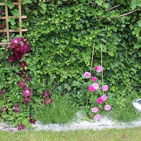 Kameralny Z Oddzielnym Wejsciem- Blisko Pkp