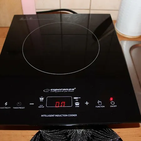 Kameralny Z Oddzielnym Wejsciem- Blisko Pkp 아파트 카르파츠