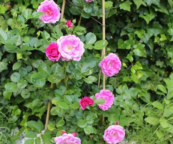 Kameralny Z Oddzielnym Wejsciem- Blisko Pkp *