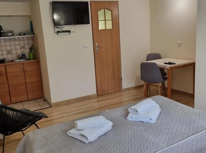 Kameralny Z Oddzielnym Wejsciem- Blisko Pkp *