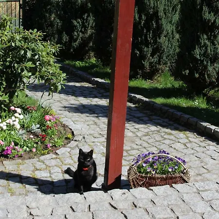 Pokój Kameralny Z Oddzielnym Wejsciem- Blisko Pkp * Karpacz