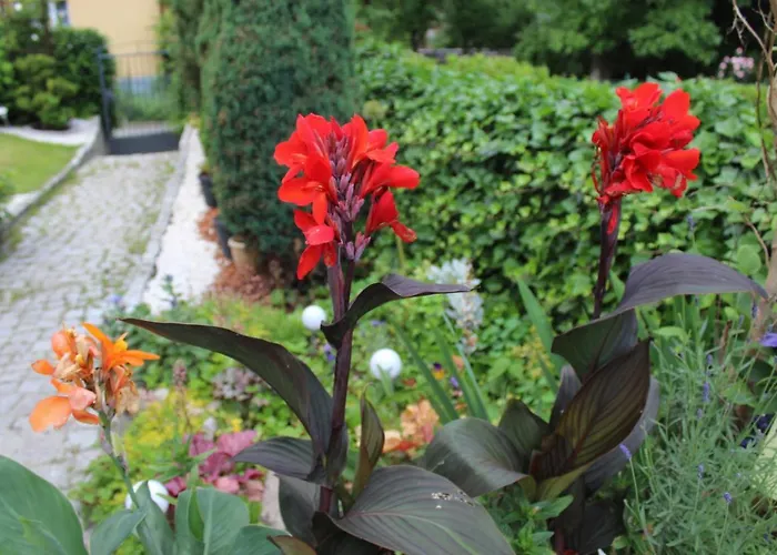 Kameralny Z Oddzielnym Wejsciem- Blisko Pkp كارباش