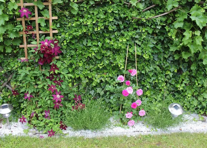 Kameralny Z Oddzielnym Wejsciem- Blisko Pkp