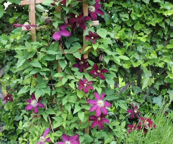 Kameralny Z Oddzielnym Wejsciem- Blisko Pkp كارباش