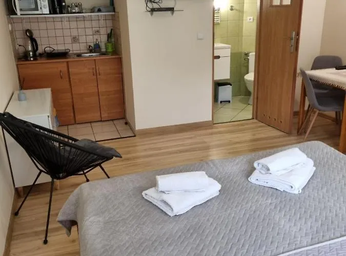 Kameralny Z Oddzielnym Wejsciem- Blisko Pkp شقة كارباش