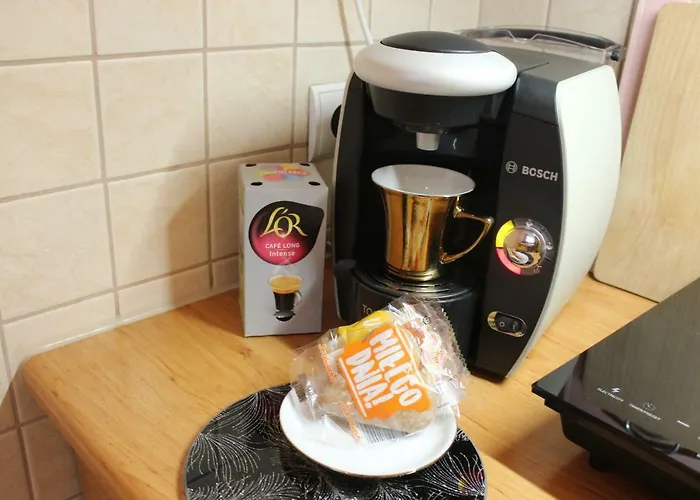 Kameralny Z Oddzielnym Wejsciem- Blisko Pkp * كارباش