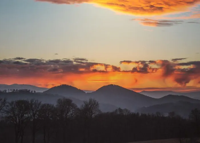 Apartment Kameralny Z Oddzielnym Wejsciem- Blisko Pkp